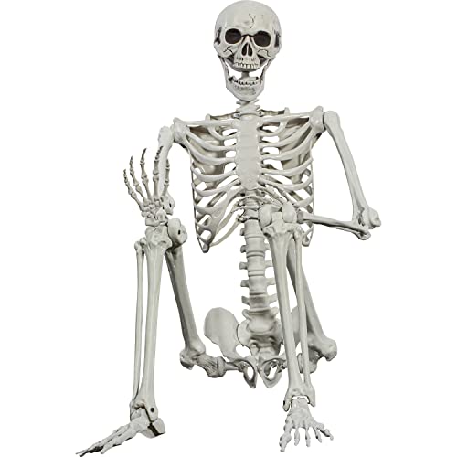 165cm Halloween Posable Skelett Realistische Lebensgröße Menschliche Skelettknochen mit beweglichen Gelenken für Halloween Haunted House Dekoration