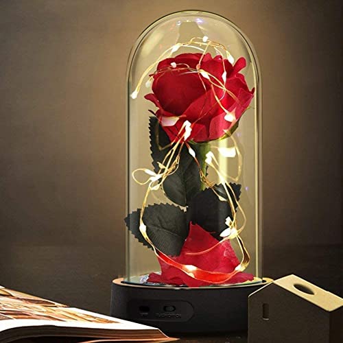 Die Schöne und das Biest Rose Geschenk Kit, rote Seide Rose und LED-Licht mit gefallenen Blütenblättern für Hauptdekor Geburtstag, Hochzeit, Valentinstag, Muttertag, Jubiläum, Weihnachtstag