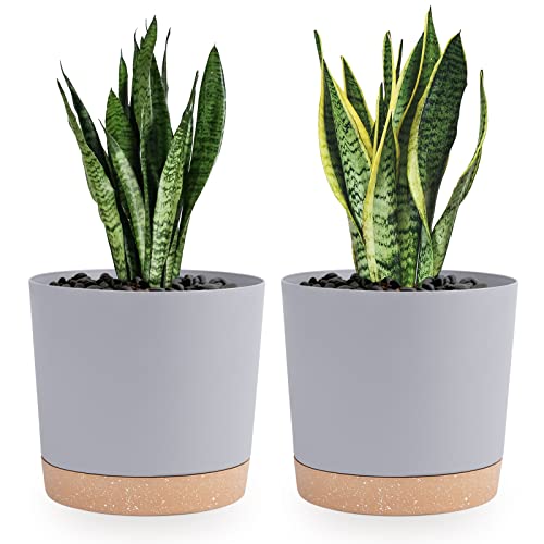 QCQHDU Bumentöpfe 2er Pack 20,5cm,Bumentöpfe für Zimmerpflanzen mit Entwässerungslöchern und abnehmbarem Boden,Untersetzer Modern Dekorativ für Garten Pflanzgefäße im Freien(Hellgrau 20,5cm)