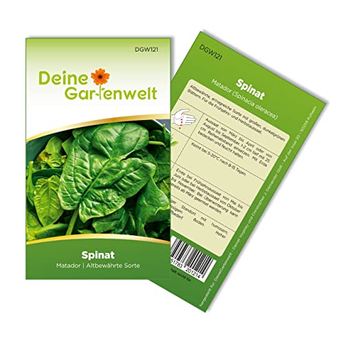 Spinat Matador Samen - Spinacia oleracea - Spinatsamen - Gemüsesamen - Saatgut für 250 Pflanzen