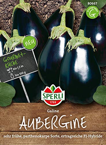 80667 Sperli Premium Aubergine Samen Galine | Frühe Sorte | Ertragreich | Aubergine Saatgut | Auberginen Samen