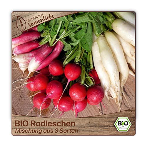 Samenliebe BIO Radieschen Samen Mischung aus 3 Sorten 200 Samen samenfestes Gemüse Saatgut für Gewächshaus Freiland und Balkon BIO Gemüsesamen