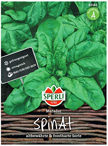 Premium Spinat Matador | Schoßfeste Sorte | Ertragreich Vitaminreich und Schnellwüchsig | Samenfestes Saatgut | ca. 800 Spinat Samen