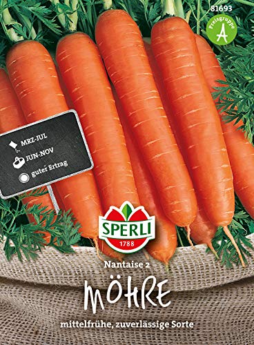Sperli Premium Möhren Samen Nantaise 2 ; Mittelfrühe zuverlässige Sorte ; 1000 Karotten Samen