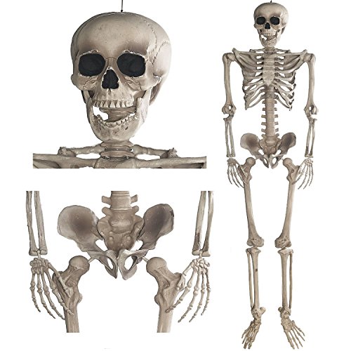 GOODS+GADGETS Deko Skelett 160 cm - Party & Halloween Dekoration Ganzkörper Horror Skeleton