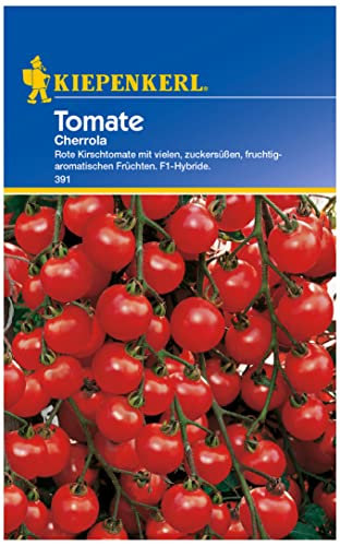 391 Kiepenkerl Premium Tomatensamen Cherrola | Cherry Tomaten Samen | Pflaumenförmig | Cocktailtomaten Samen | Cherry Tomaten Samen | Tomaten Saatgut | Rispentomaten Samen