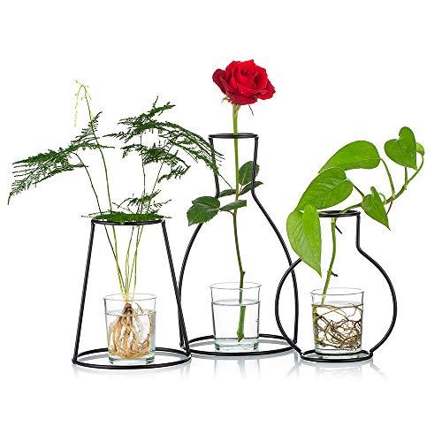 NUPTIO Set mit 3 Kreativen Blumentöpfen für Den Schreibtisch, mit Glasbecher, Vasen und Metallständer aus Eisen für Wasserpflanzen, Blumengestecke Dekoration (3 Stck)