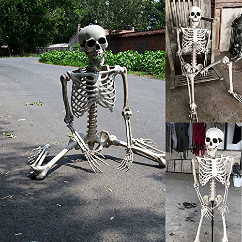 Halloween Deko,70/160 cm lebensgroßes Skelett Ganzkörper realistische menschliche Knochen mit beweglichen Gelenken für Halloween Pose Skelett Prop Dekoration (70 cm)