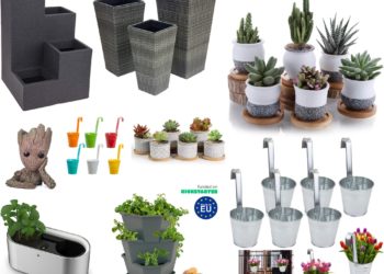 Blumentöpfe: Die aktuellen 25 Bestseller von Amazon im April