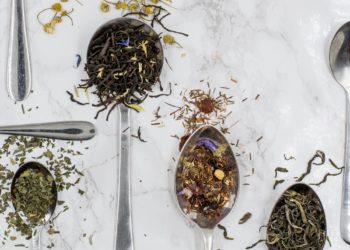 Tee Die 30 beliebtesten Tee Geschenke auf Amazon