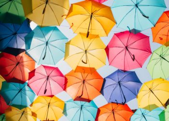 Regenschirm kaufen: Das sind aktuell die 10 beliebtesten Regenschirme auf Amazon