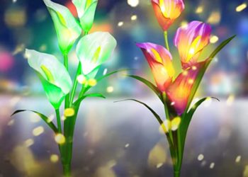 Bunte Solar Lichter für den Garten kaufen