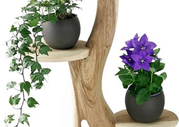 blumentöpfe und pflanzgefäße