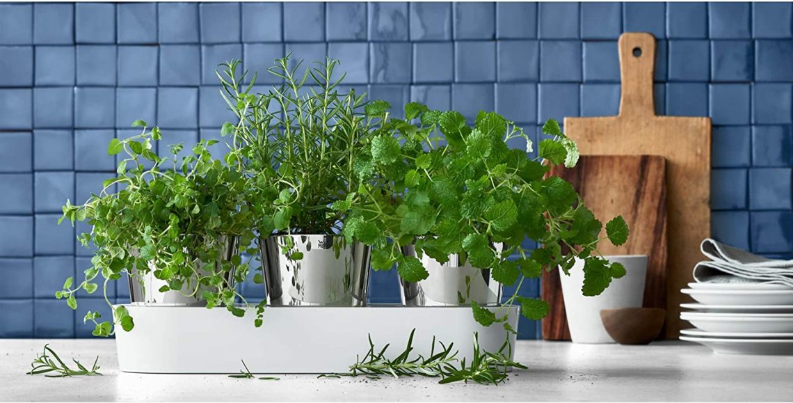 Kräutergarten für den Balkon anlegen