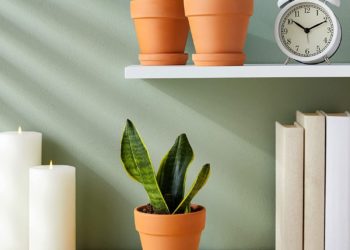 Die besten Pflanzgefäße für den Frühling