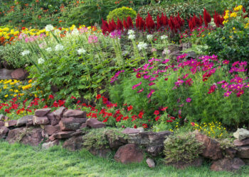 Nachhaltige Gartenpflege